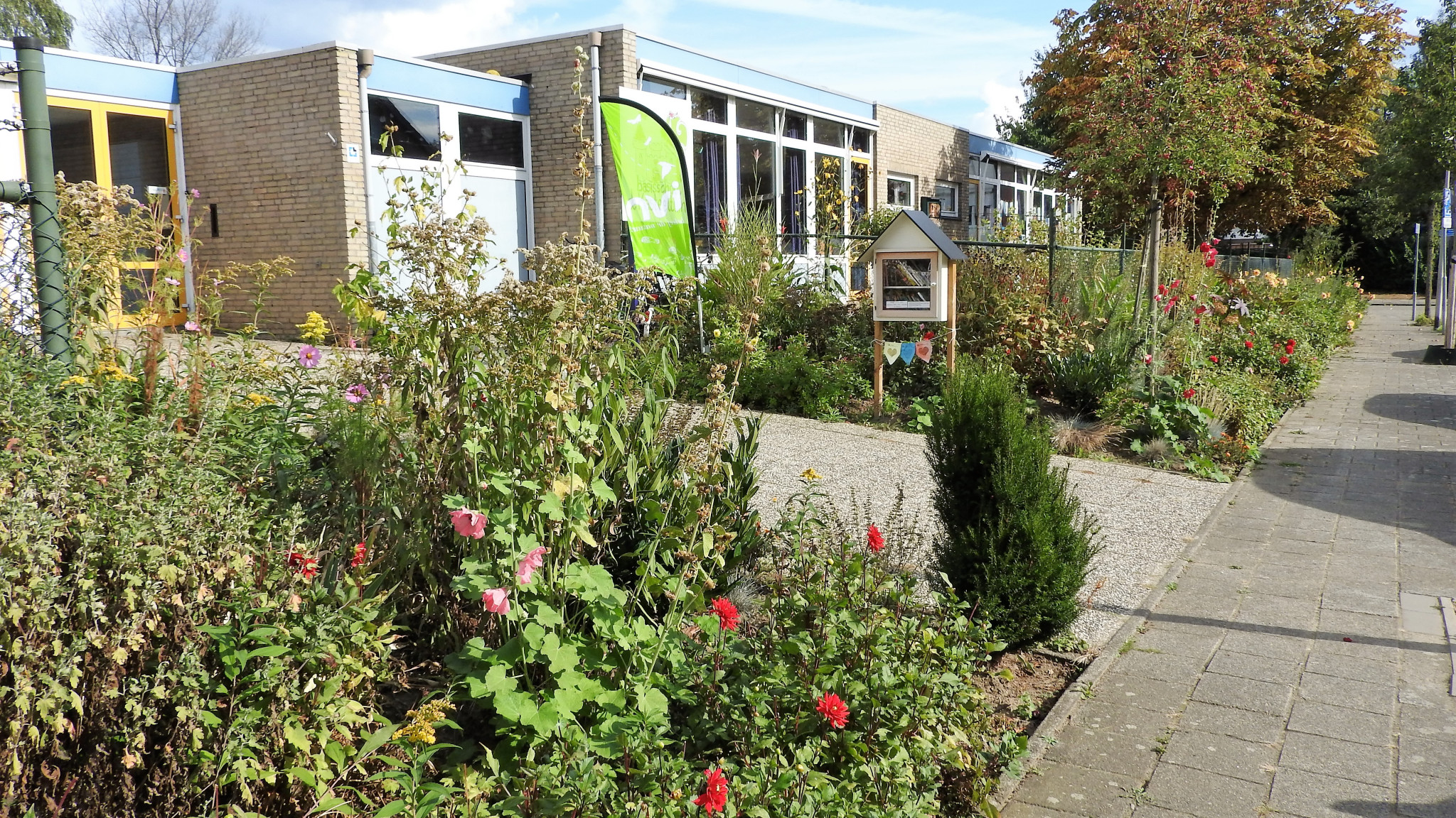 Hoe benut je een groen schoolplein als rijke leeromgeving?