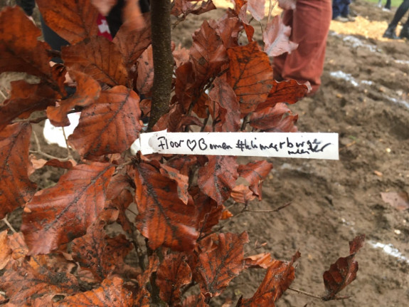 Een haagbeuk heeft een label met daarop de tekst Floor Basten Klimaatburgemeester geschreven 