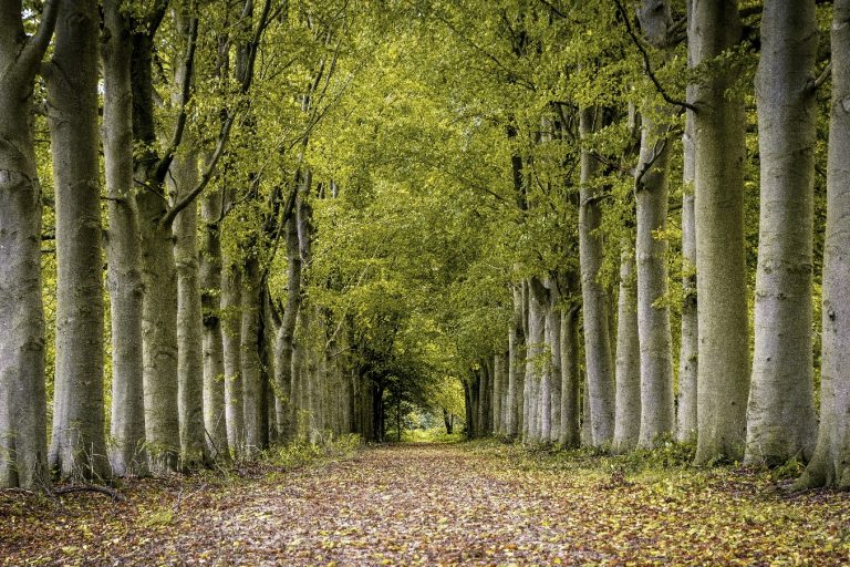 Word Gastheer van het Landschap in Nunspeet