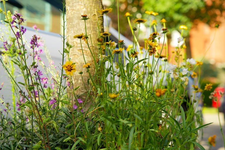 Gele en paarse bloemen bij een boomstam in een zonnige tuinomgeving.