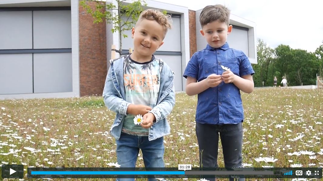 Een groen schoolplein aanleggen, hoe doe je dat? Deze filmpjes helpen je op weg!