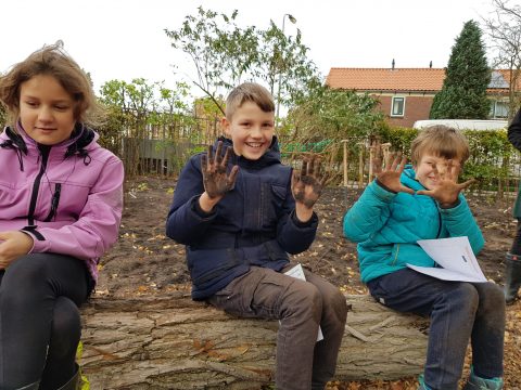 Leerlingen van Basisschool de Vuurvogel planten Tiny Forest
