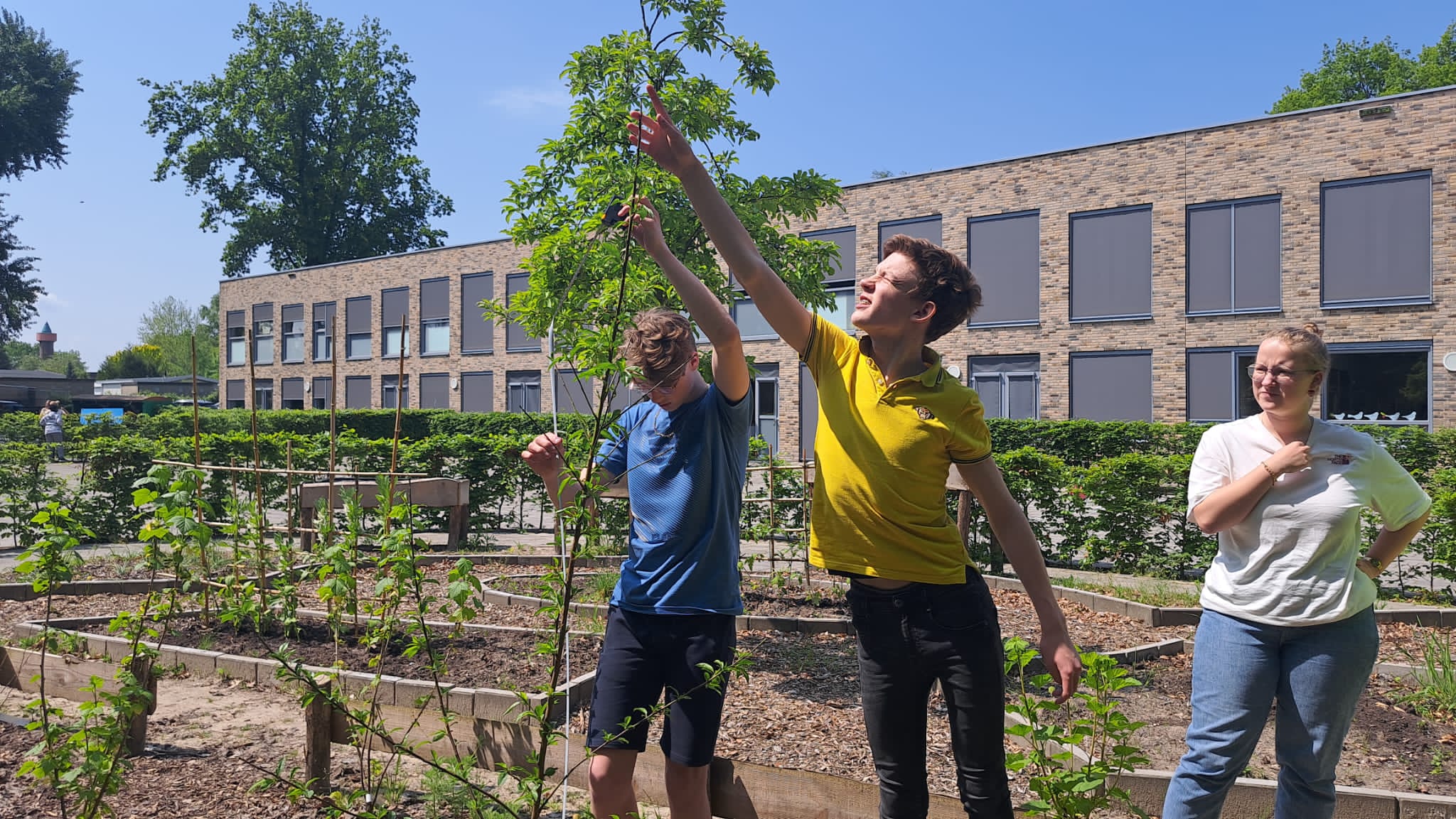 Drie mensen verzorgen planten in een tuin voor een gebouw op een zonnige dag.