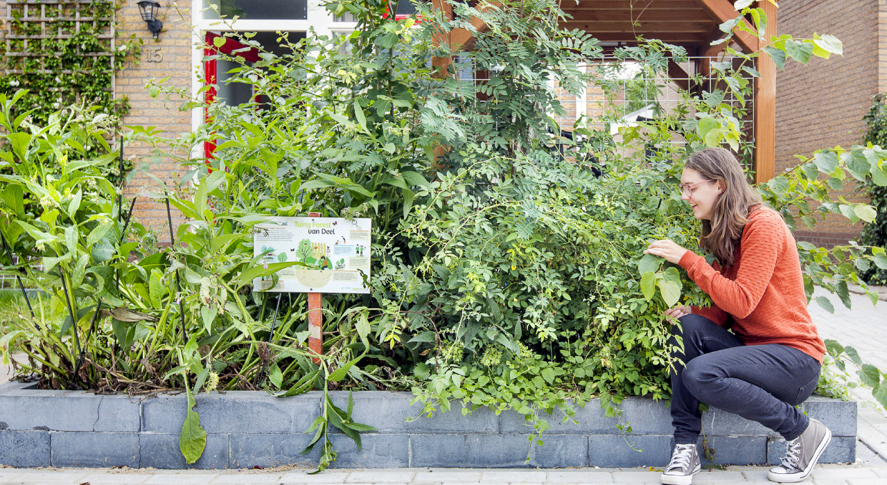 Vrouw inspecteert dichte planten in verhoogde tuinbedden, met informatiebord op de voorgrond.
