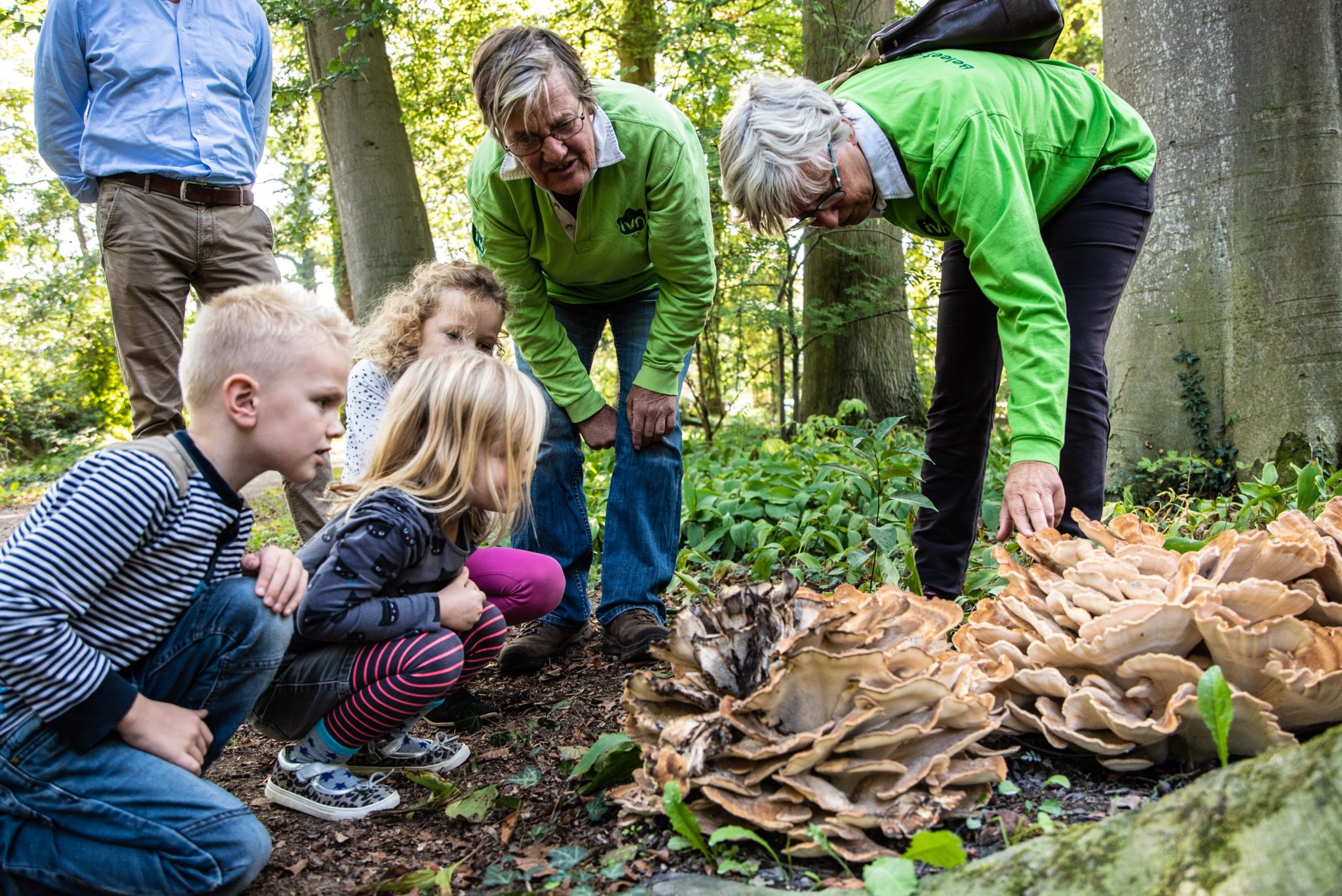 Kinderen en volwassenen bestuderen grote paddenstoelen in een bosrijke omgeving.