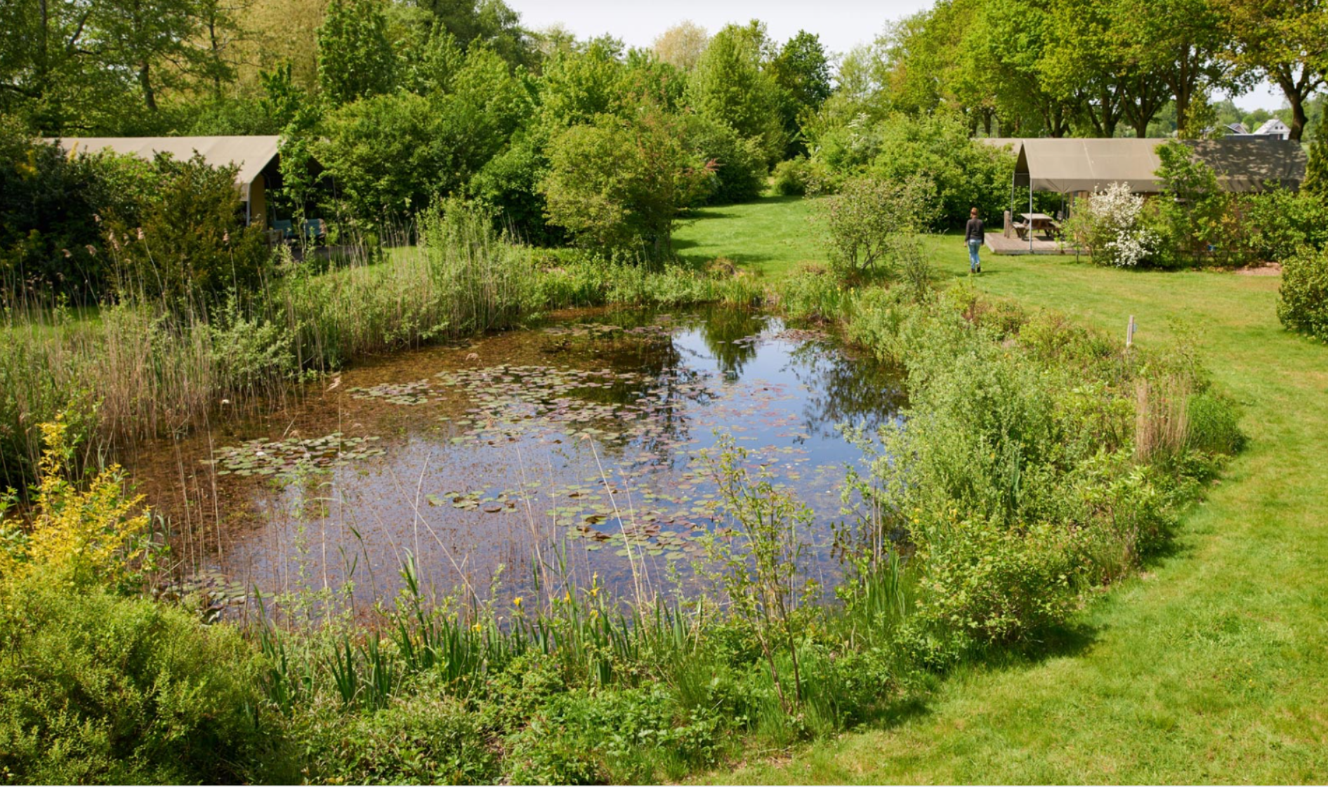 Een vijver omgeven door weelderige groene begroeiing en twee tenten op een grasveld.