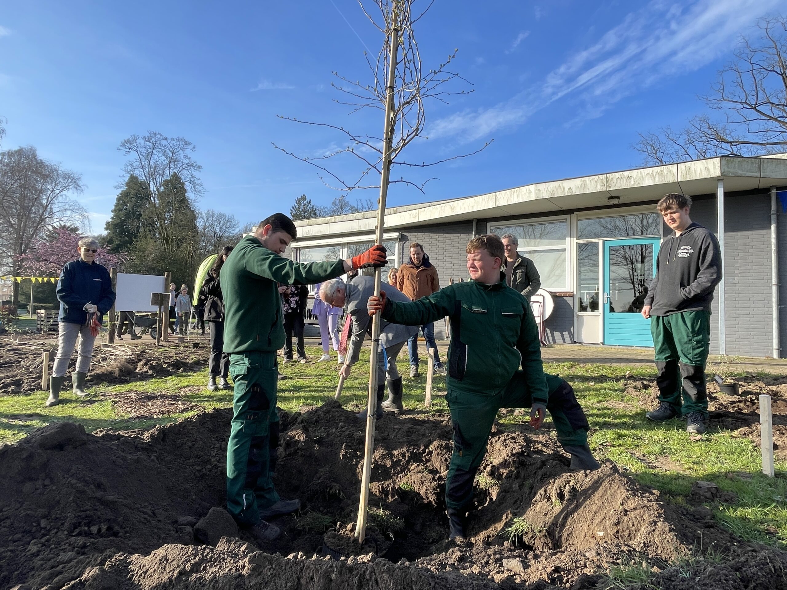 Mensen planten een boom voor een gebouw op een zonnige dag, omringd door toeschouwers.