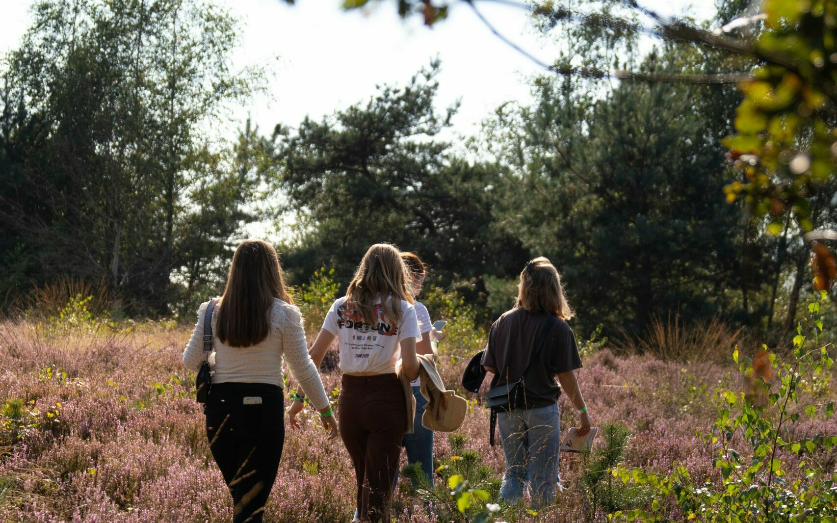 Vier mensen wandelen door een heideveld omringd door bomen.
