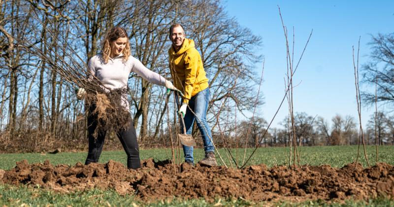 Twee mensen planten bomen op een zonnige dag in een open veld met bruine aarde en kale bomen.