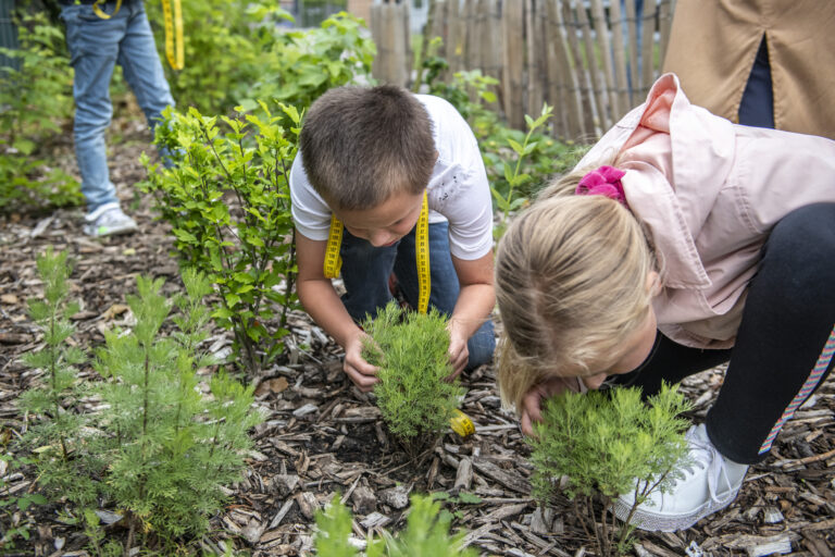 Kinderen meten planten in een tuin, met meetlinten rond hun nekken.