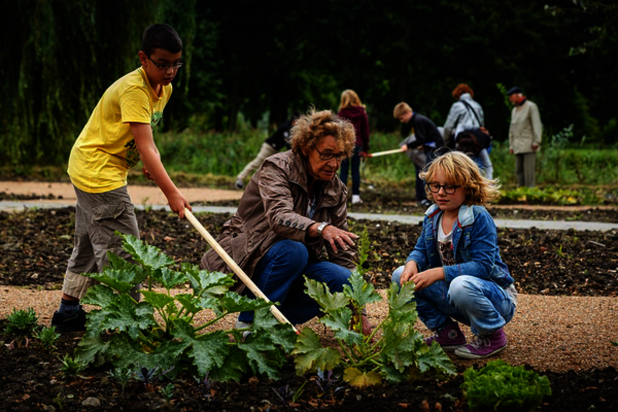 Drie mensen tuinieren samen; een volwassene geeft uitleg aan twee kinderen.