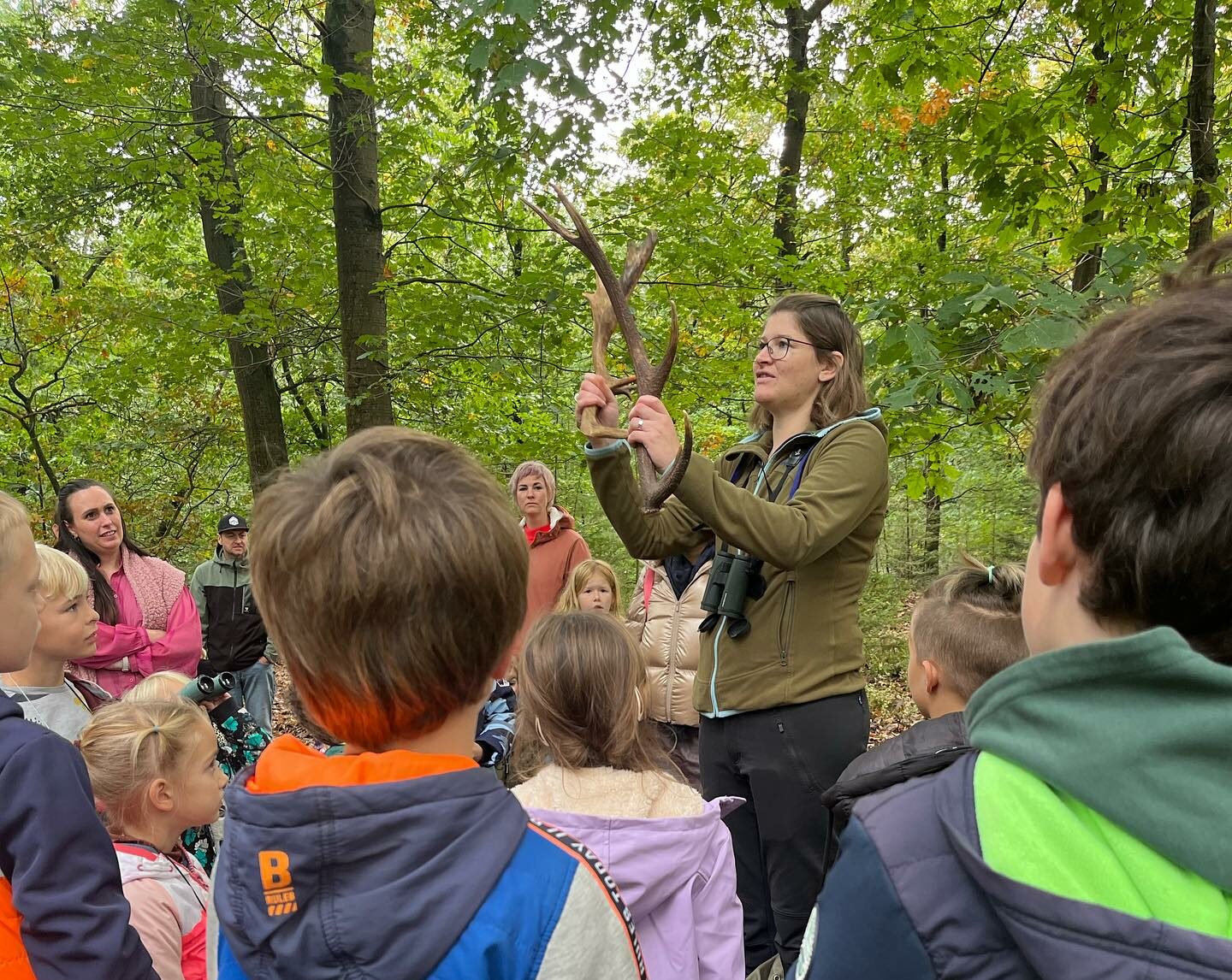 Bron: Het Lierderholt.