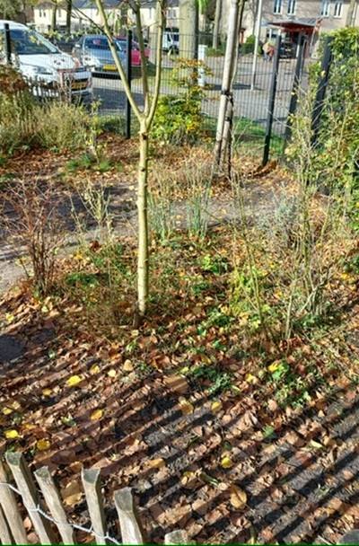 voedselbosje na 2 jaar zwolle