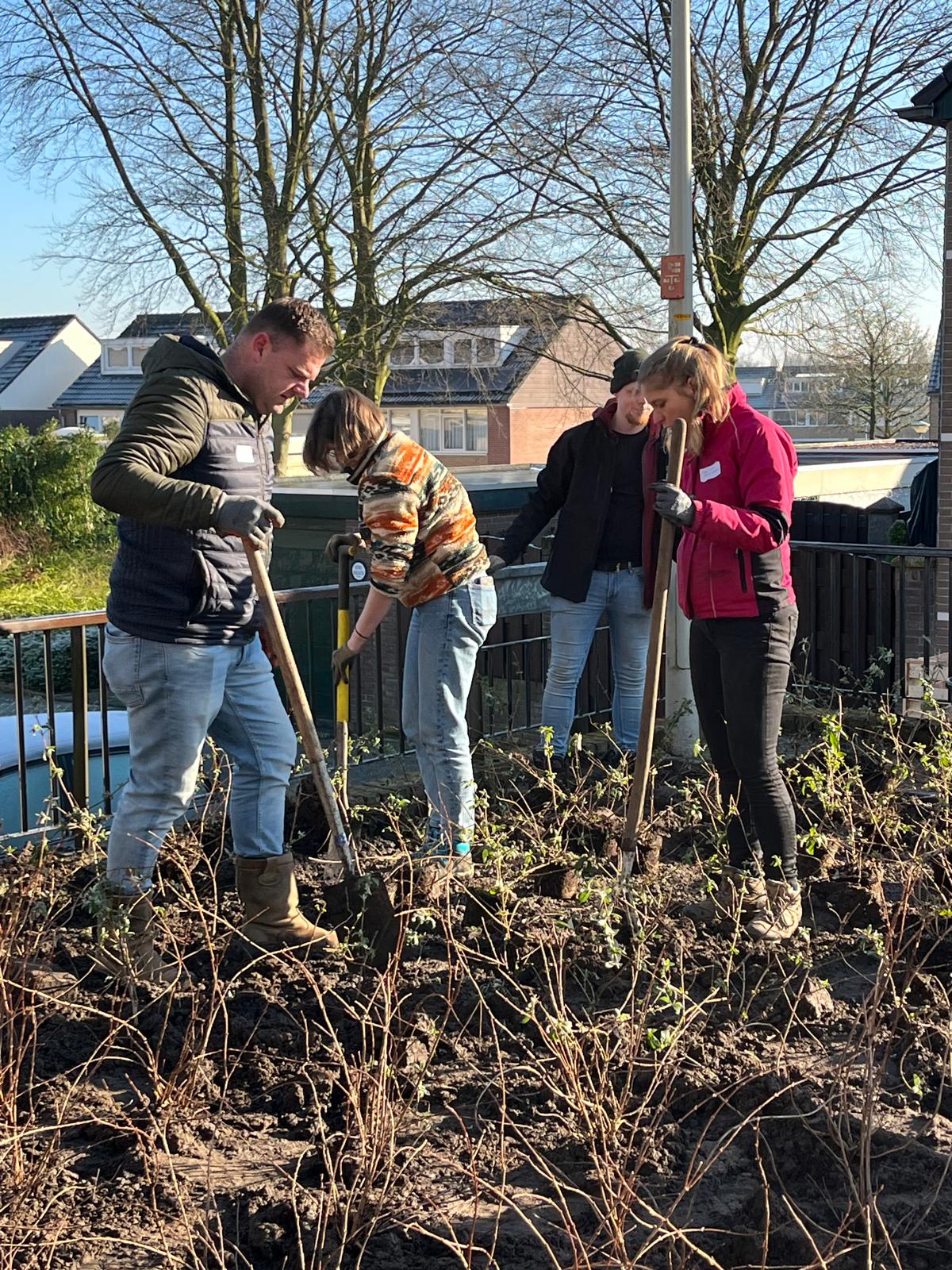 Mensen tuinieren samen in bed met planten op een zonnige dag.