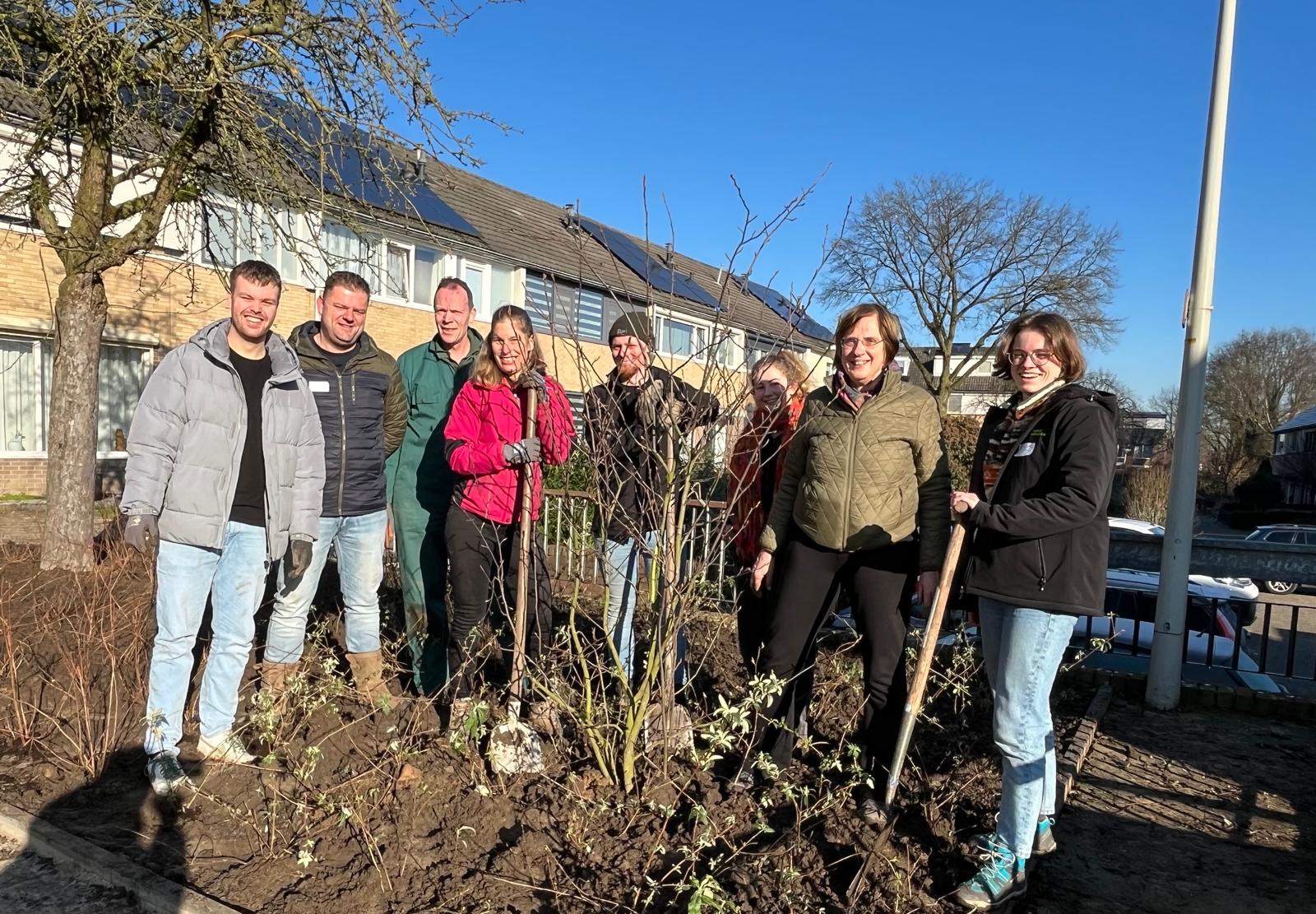 buurtbewoners montferland tijdens de plantdag