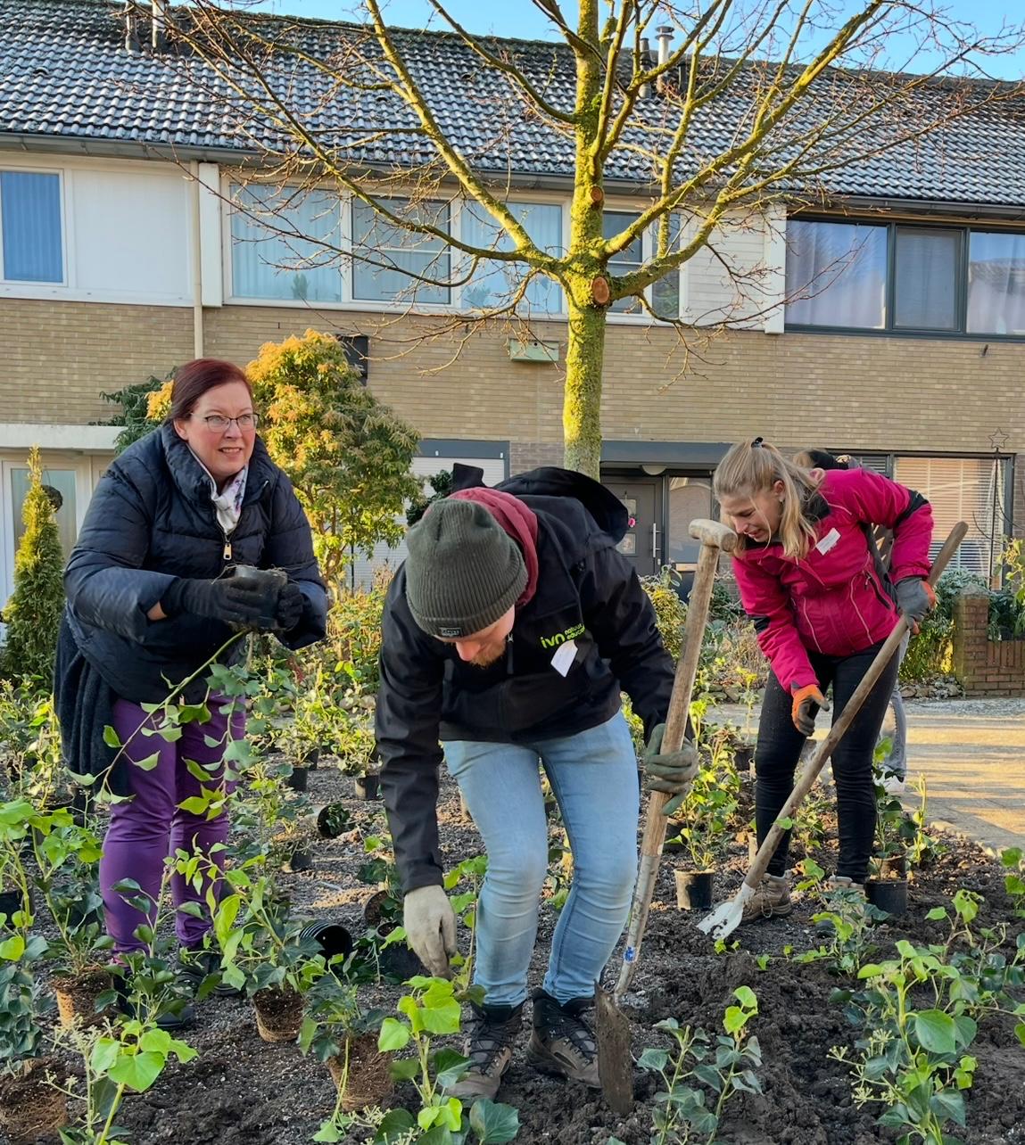 Mensen planten struiken in een tuin met gereedschap, voor een rijtjeshuis in zonlicht.