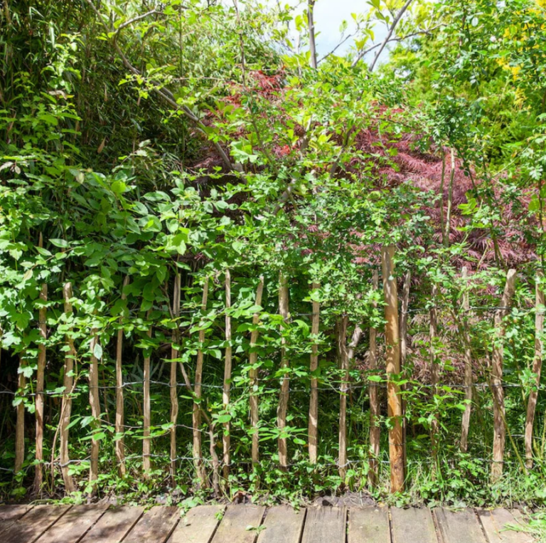 Houten hek omgeven door weelderige groene planten en struiken op een zonnige dag.
