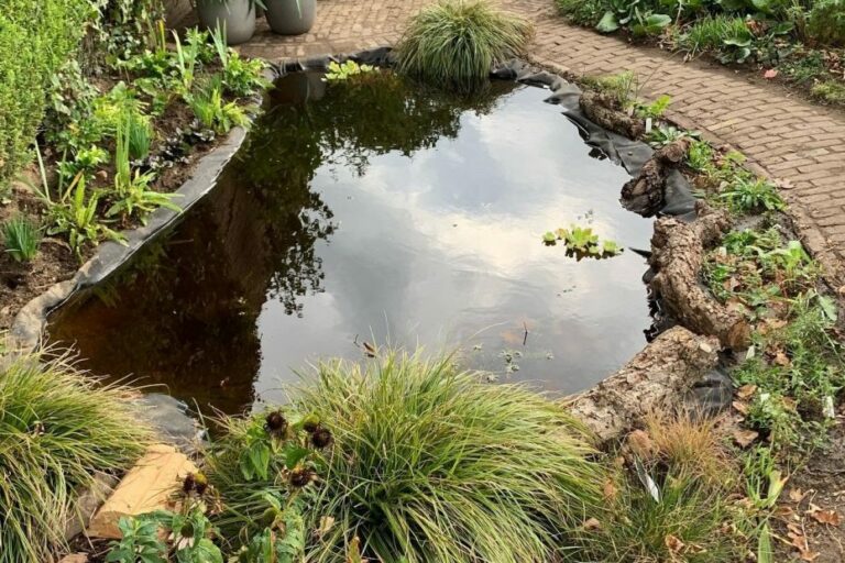 Kleine vijver in een tuin met omliggende planten en een betegeld pad aan de rechterkant.