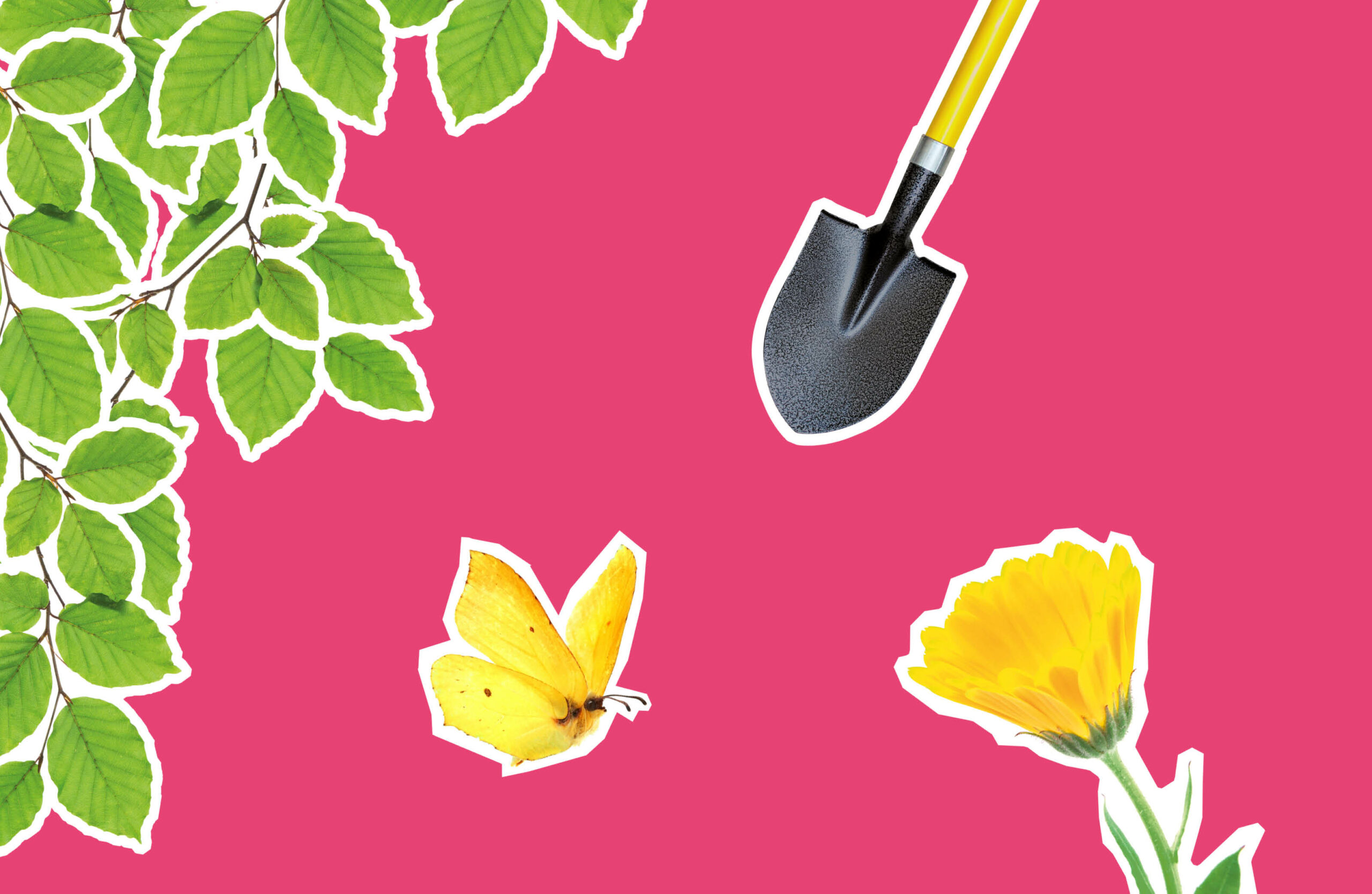 NK tegelwippen schop vlinder en bloem