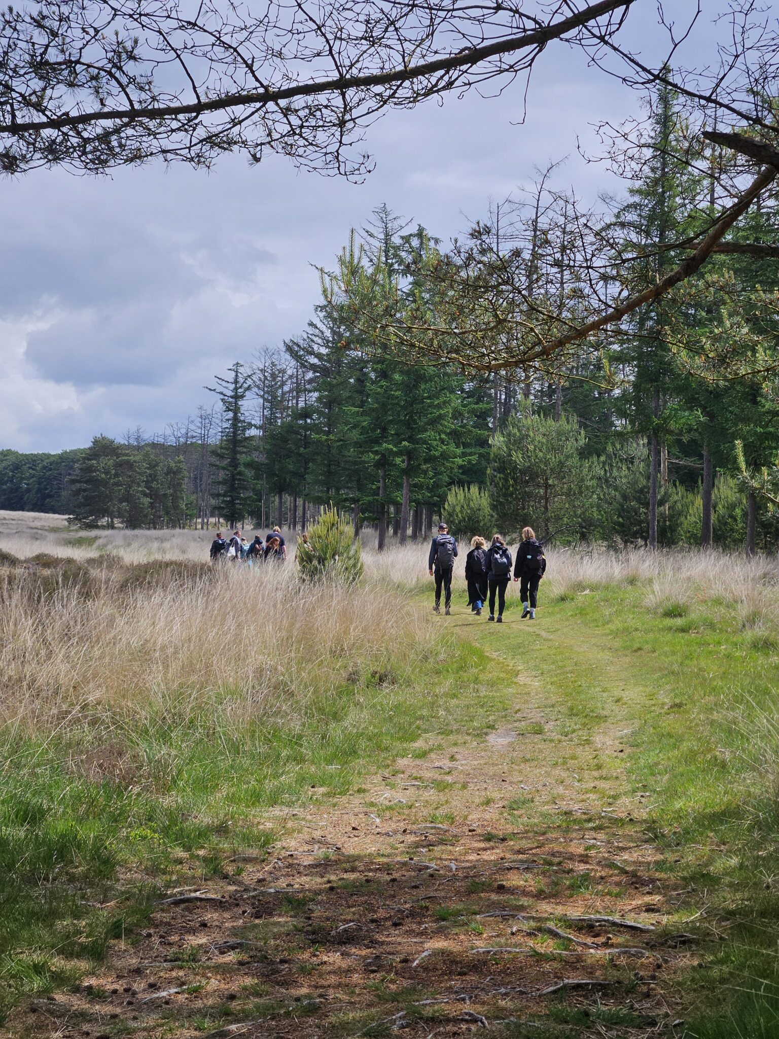 Een groep wandelaars volgt een bosrijk pad onder een bewolkte hemel.