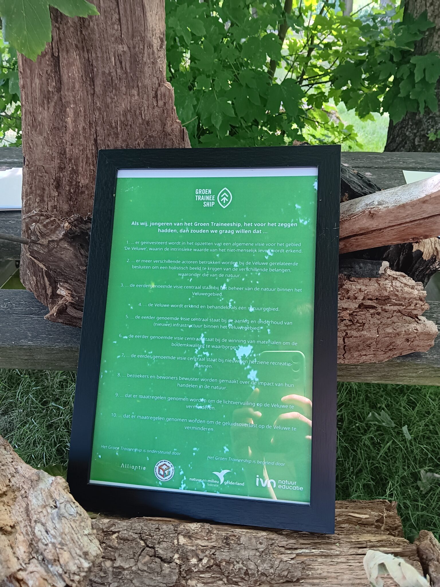 Ingelijste groene poster over Groen Traineeship, leunend tegen een boomstronk, met bladeren op de achtergrond.