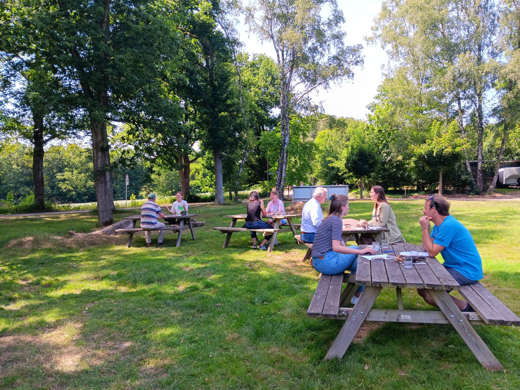 Mensen zitten aan picknicktafels in een groene, bosrijke omgeving.