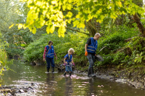 Drie mensen met blauwe hesjes lopen in een beek met groene bomen rondom.