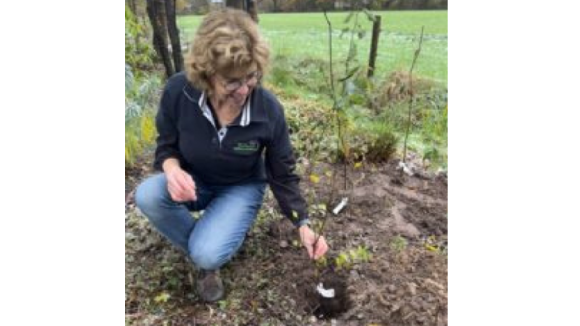 Vrouw plant kleine boom in een modderige tuin, omringd door gras en bomen.