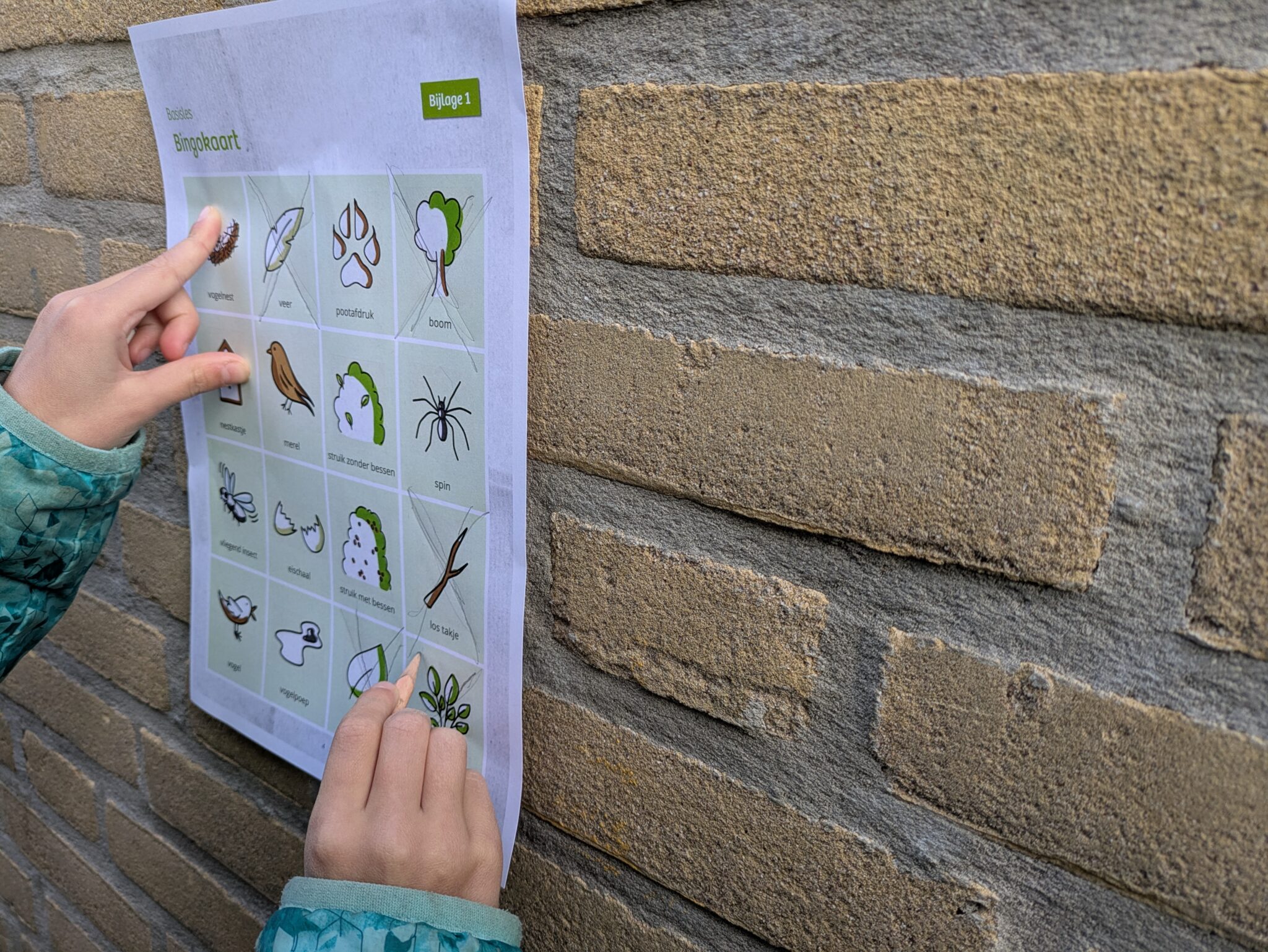 Kind met natuur-bingokaart op een muur, om items aan te vinken.