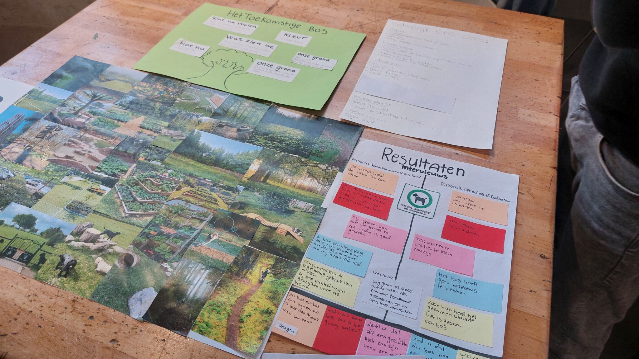 Collage van groene projecten, interviewresultaten en brainstorm over toekomstig bos op een tafel.