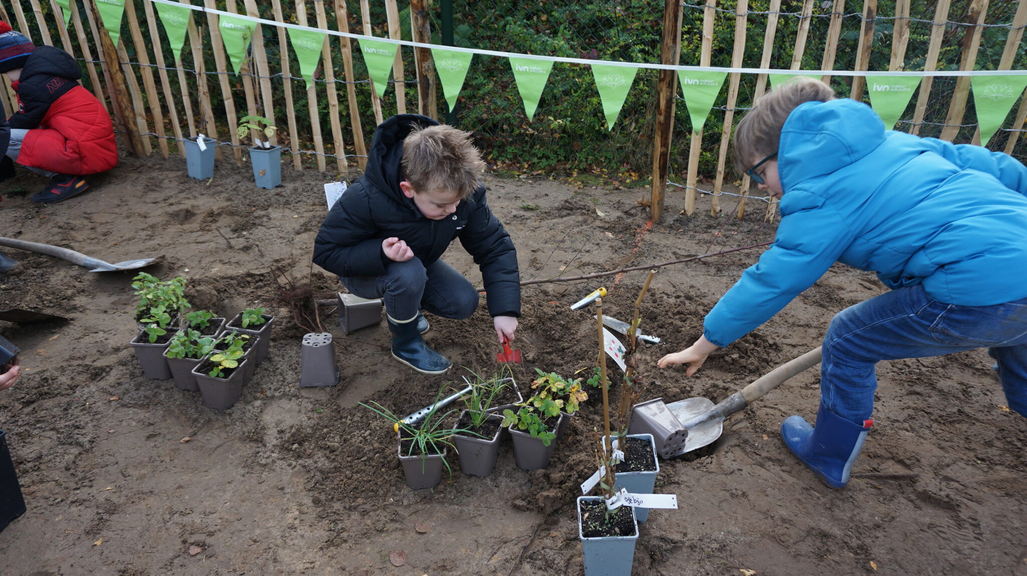 Kinderen planten jonge planten in een tuin met houten hek en groene vlaggen.
