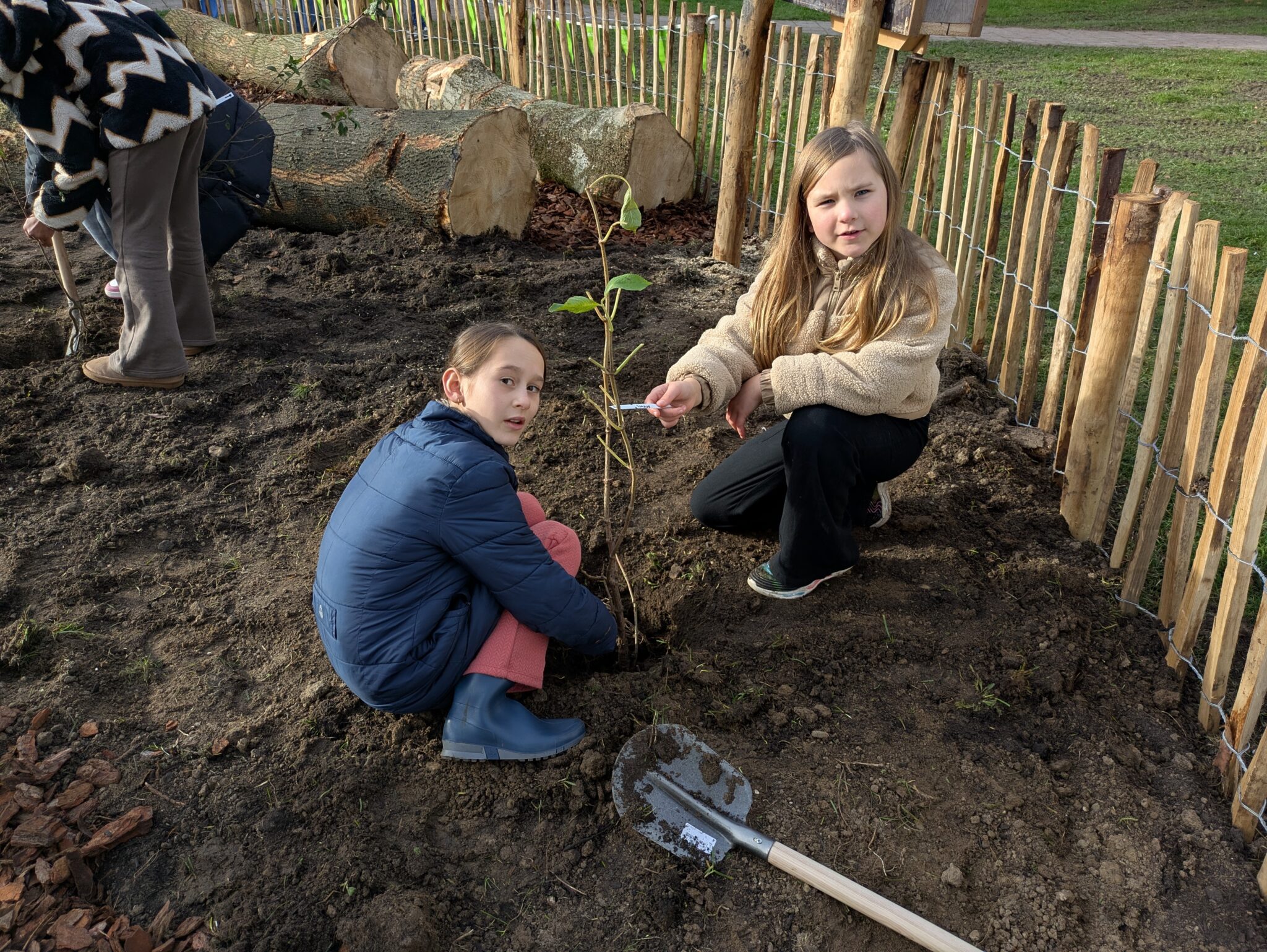Twee kinderen planten een jonge boom in een omheinde tuin met gereedschap in de buurt.