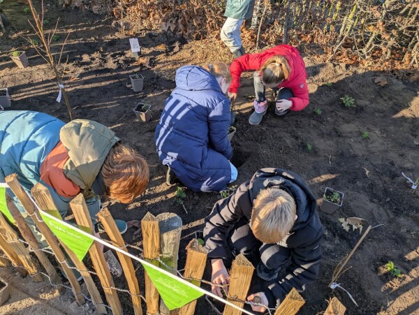 Kinderen planten zaailingen in een tuin naast een houten hek.