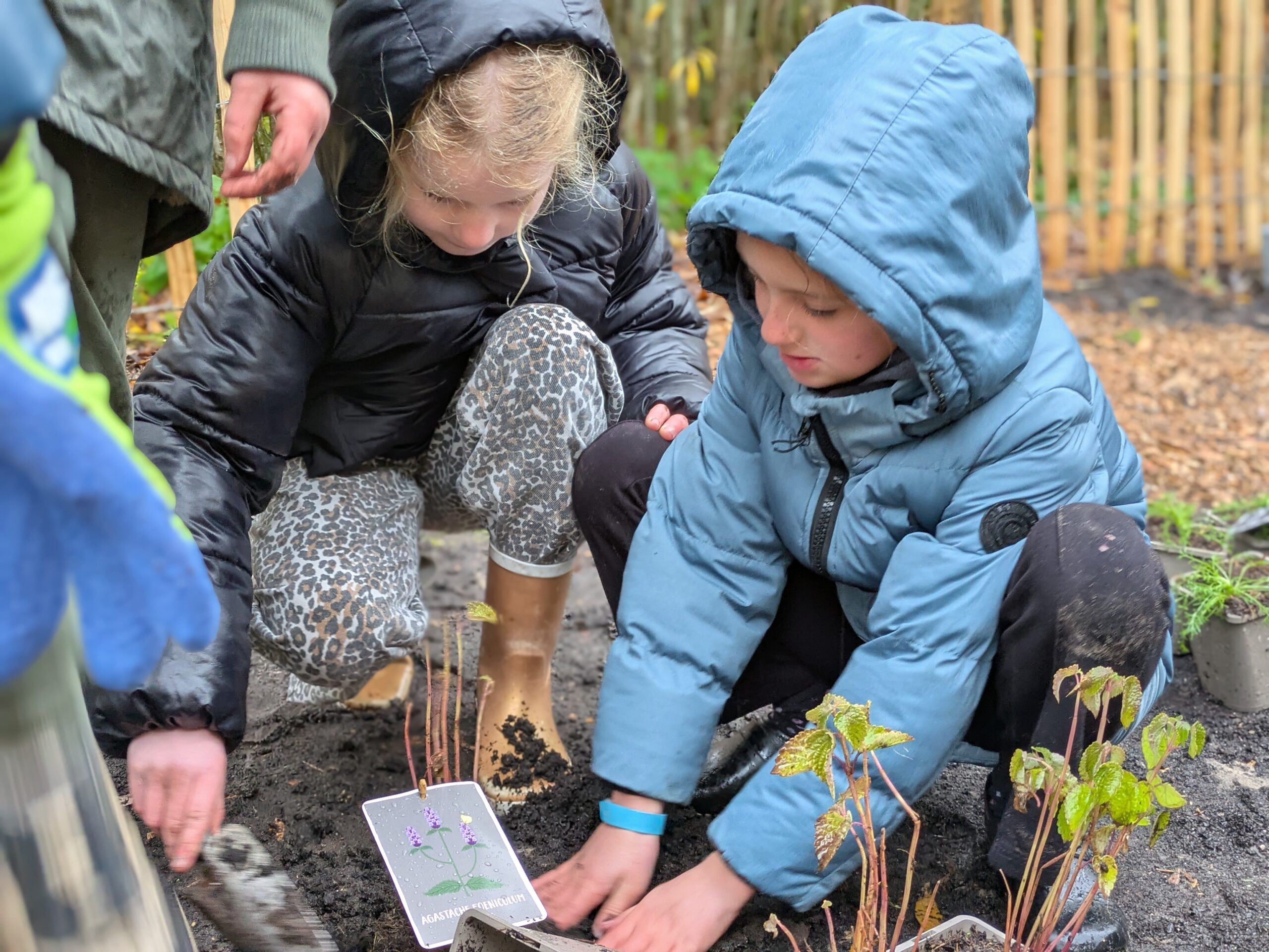 Twee kinderen planten samen jonge planten in de tuin, gekleed in warme jassen.