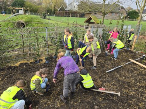 Kinderen planten een Tiny Forest in Asch.