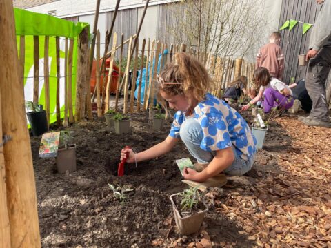 Kinderen planten zaailingen in een tuin, omgeven door een houten hek en kleurrijke decoraties.