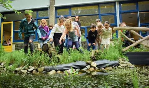 Groep kinderen observeert natuurvijver op schoolplein, omringd door gras en stenen.