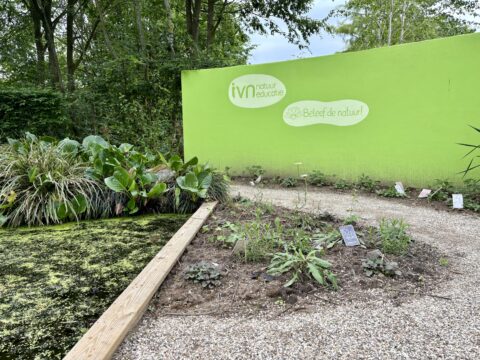 Groene muur met "IVN natuur educatie" en "Beleef de natuur!" in de nieuwe Tuiny tuin in Appeltern.