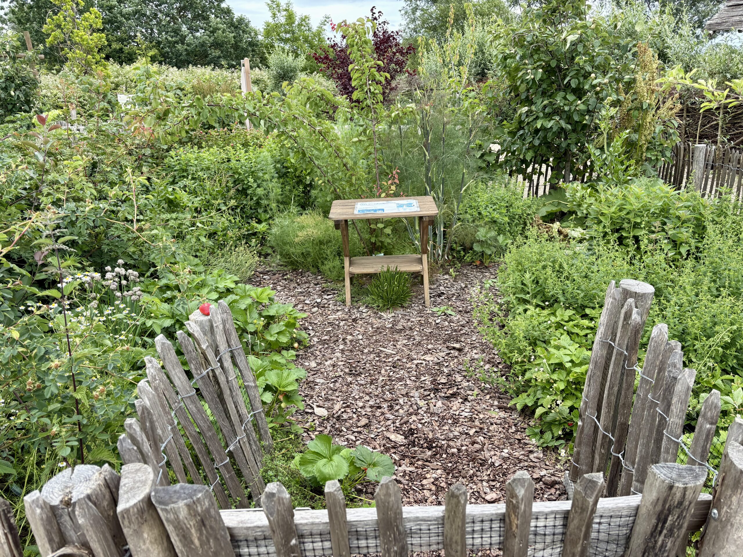 Voedselbosje in Bloemenpark Appeltern