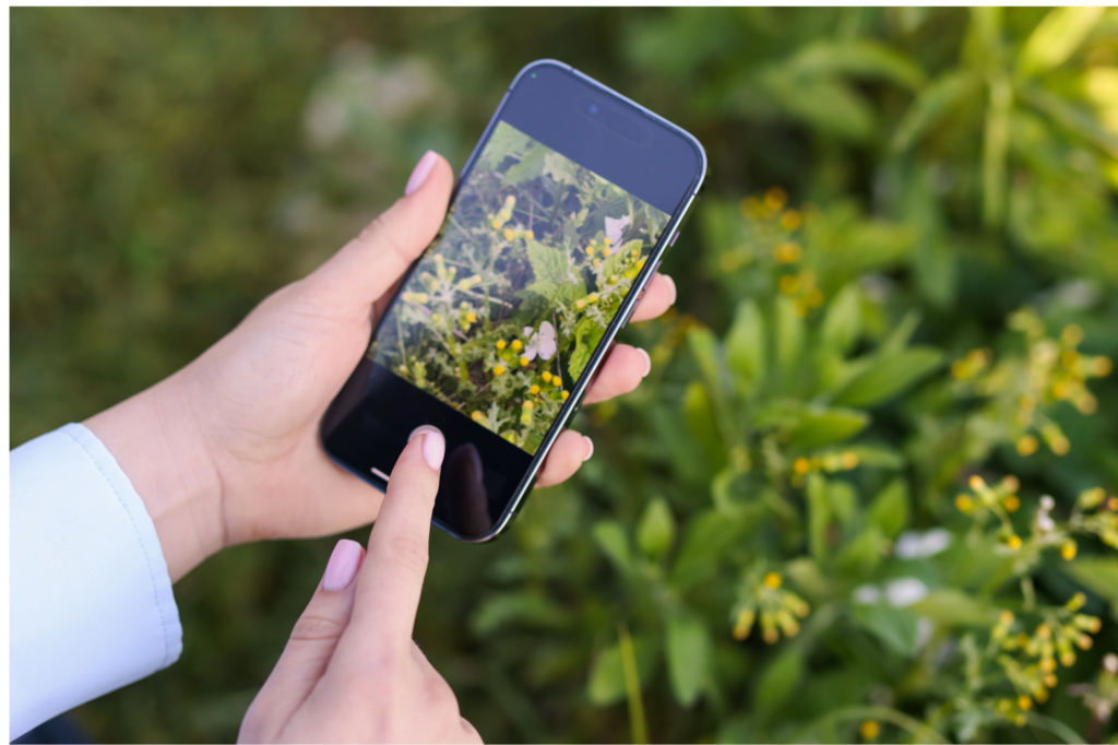 Hand houdt smartphone met foto van bloemen, groene achtergrond.