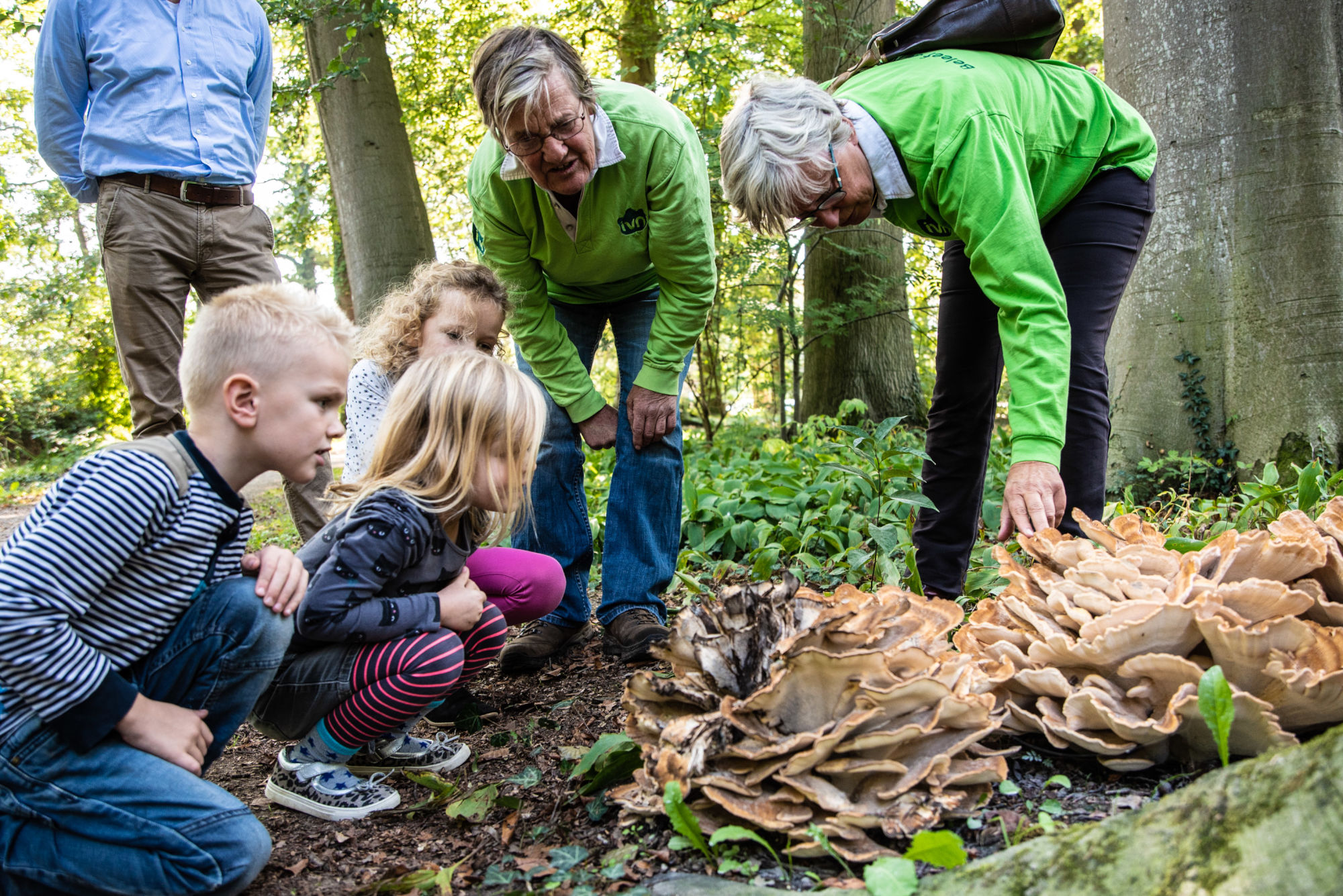 Kinderen en volwassenen bekijken grote paddenstoelen in een bos.
