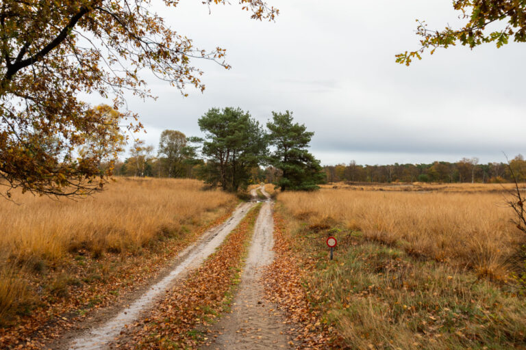 Landweg door herfstig veld met bomen en bladeren, grijs bewolkte lucht, gesloten verkeersbord.