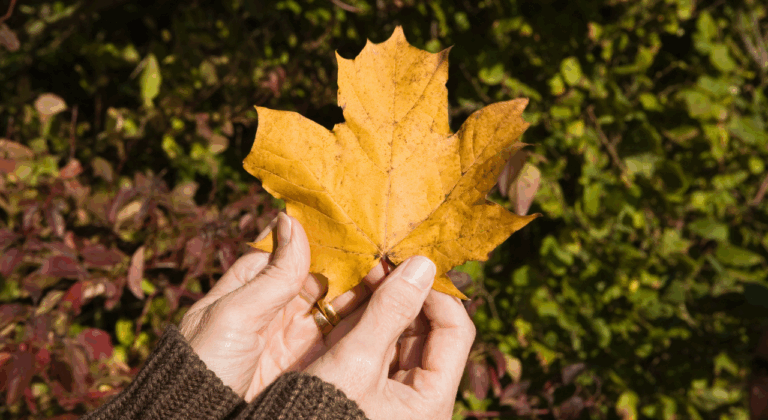 Handen houden een geel herfstblad vast tegen een achtergrond van groene bladeren.