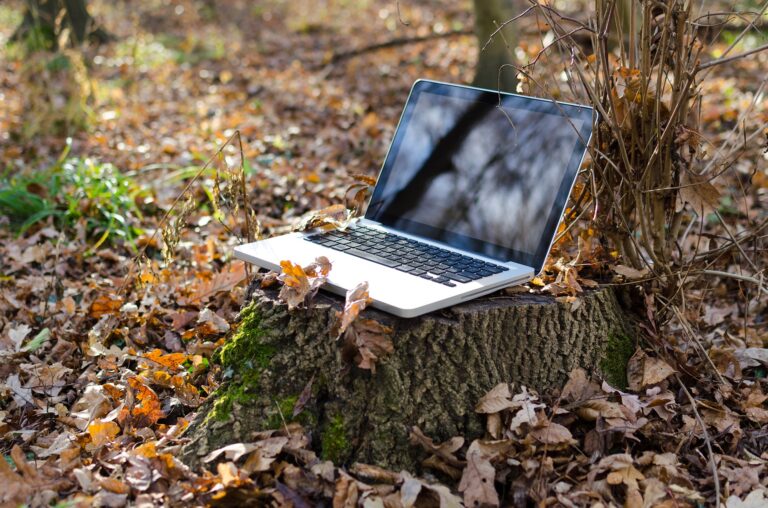 Laptop op een boomstronk in een herfstbos, omringd door gevallen bladeren.