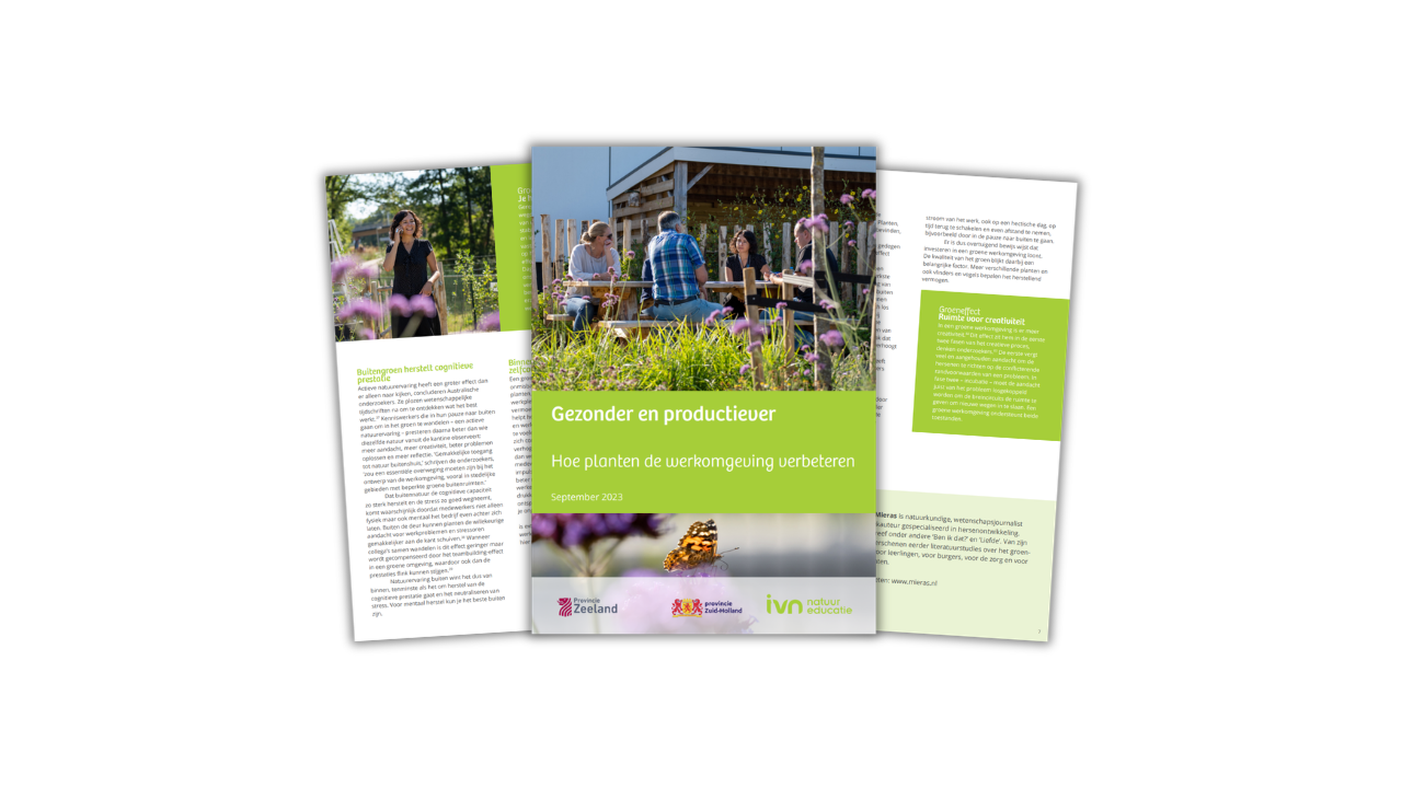 Een brochure over hoe planten de werkomgeving verbeteren, september 2023.