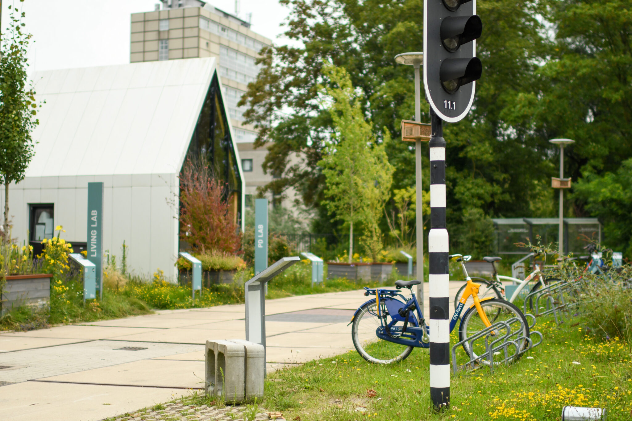 Straat met fietsen, een modern gebouw en een verkeerslicht in een groene omgeving.