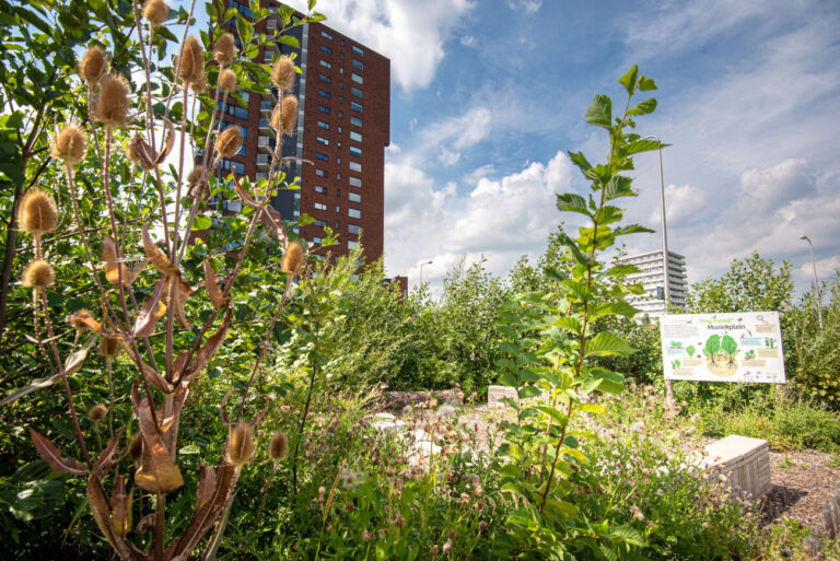 Stadsbos met informatiebord, hoge planten en een rode woontoren op de achtergrond.
