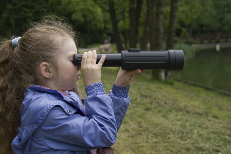 Jaarlijkse vogelboottocht over de Maas op zondag 6 maart