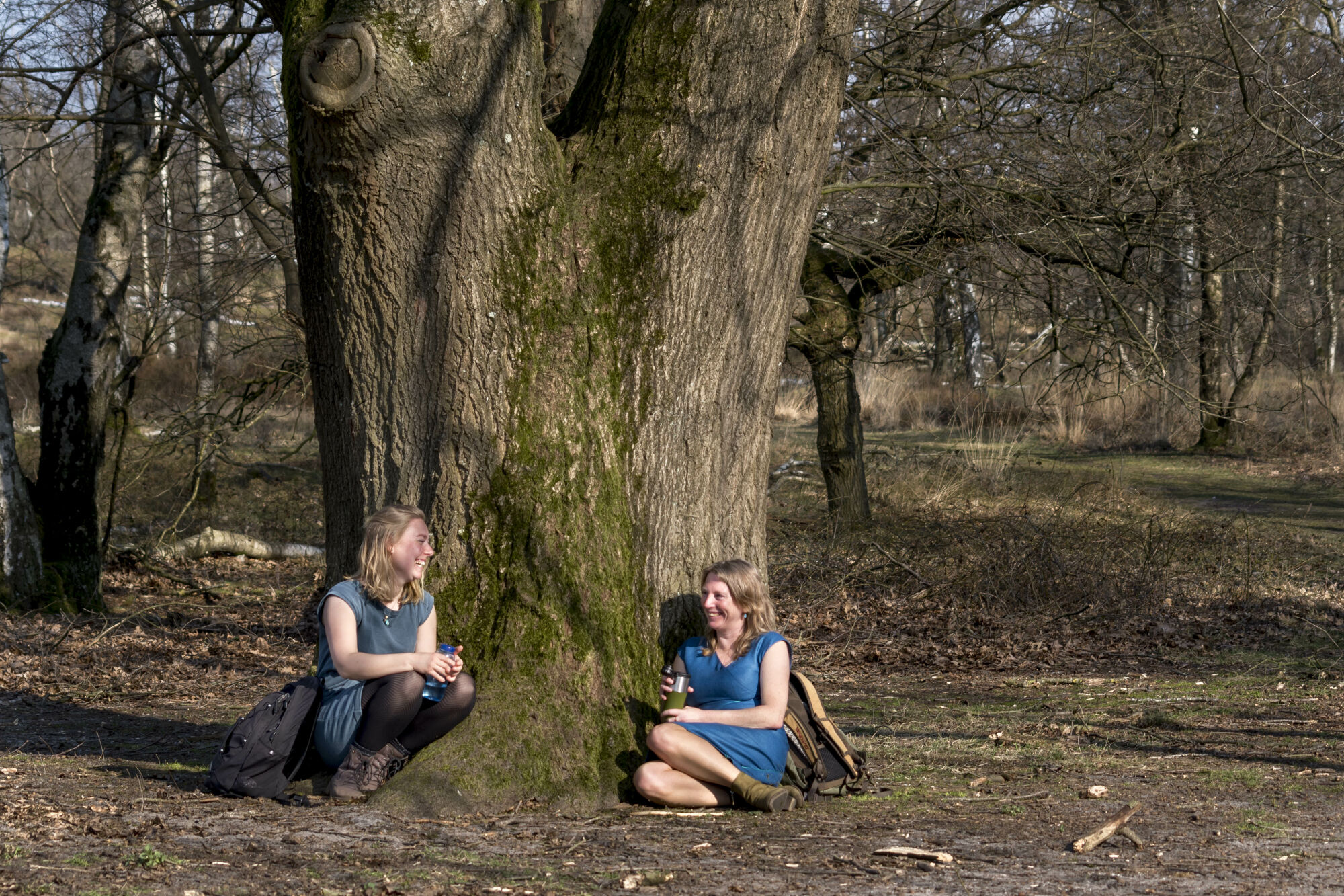 Wandelaars bij boom tijdens IVN Trektocht in de Maasduinen