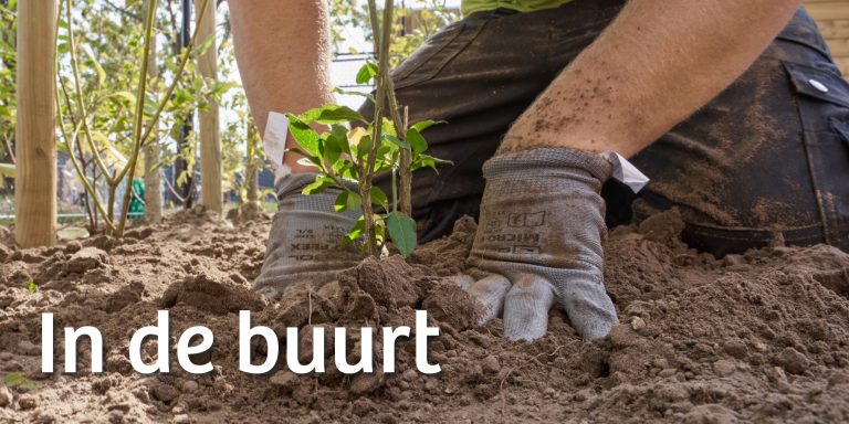 Persoon plant een plantje met tekst 